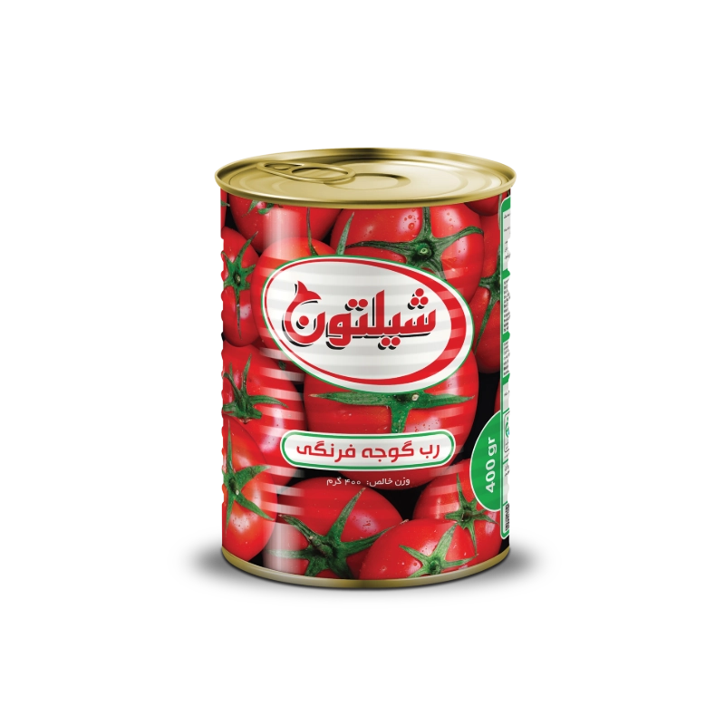 Canned Tomato Paste 400 gr
