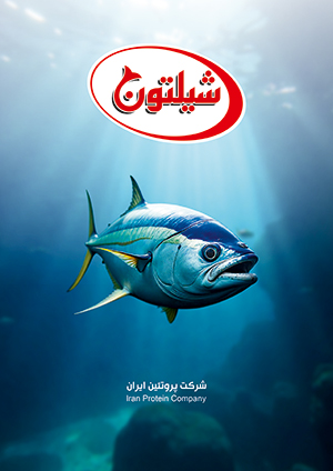 کنسرو های گوشتی